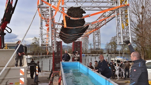 Gabelstapler, Arbeitsbühne, Treppensteiger, Sackkarre, Service München Linde, Manitou, Zonzini News, Der antike Einbaum vom Bodensee 03