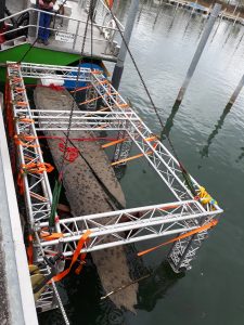 Gabelstapler, Arbeitsbühne, Treppensteiger, Sackkarre, Service München Linde, Manitou, Zonzini News, Antiker Einbaum Bodensee 02